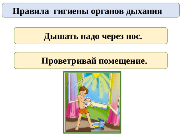 Правила гигиены органов дыхания  Дышать надо через нос.     Проветривай помещение.