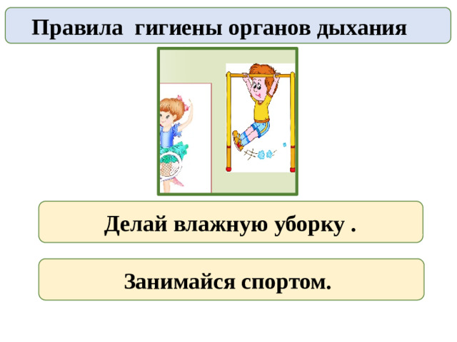 Правила гигиены органов дыхания  Делай влажную уборку .  Занимайся спортом.