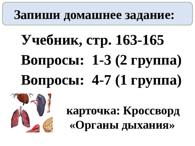 Запиши домашнее задание: Учебник, стр. 163-165 Вопросы: 1-3 (2 группа) Вопросы: 4-7 (1 группа) карточка: Кроссворд  «Органы дыхания»