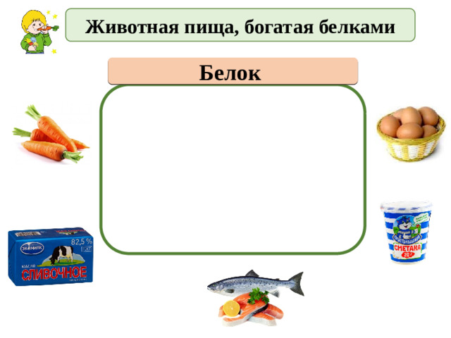 Животная пища, богатая белками Белок