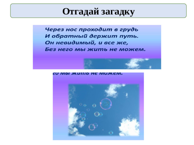 Отгадай загадку