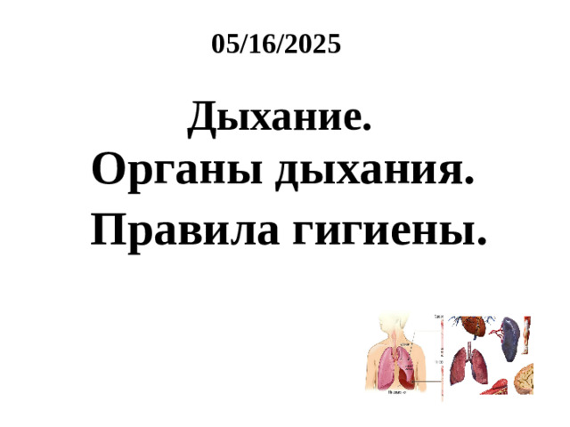 05/16/2025 Дыхание. Органы дыхания. Правила гигиены.