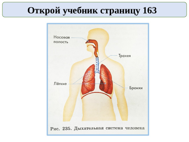 Открой учебник страницу 163
