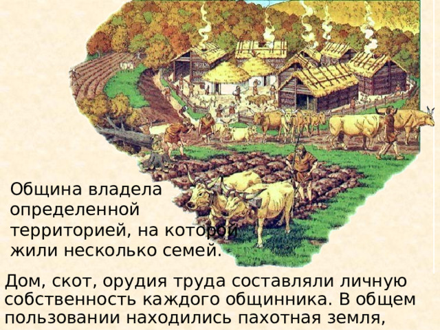 Община владела определенной территорией, на которой жили несколько семей. Дом, скот, орудия труда составляли личную cобственность каждого общинника. В общем пользовании находились пахотная земля, луга, леса, водоемы.