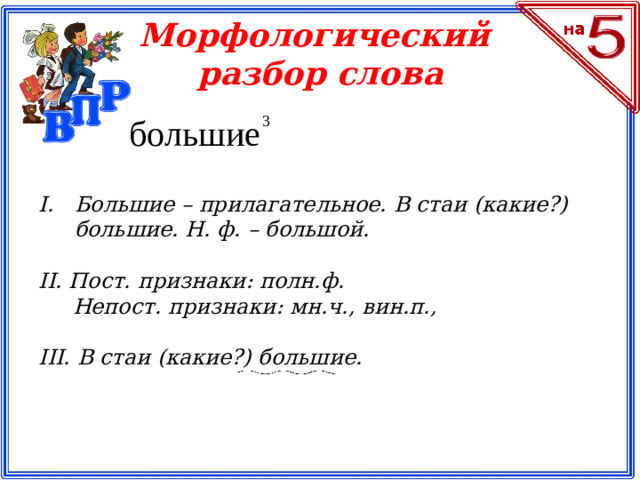 Морфологический разбор слова большие  3 Большие – прилагательное. В стаи (какие?) большие. Н. ф. – большой.  II. Пост. признаки: полн.ф.  Непост. признаки: мн.ч., вин.п.,  III. В стаи (какие?) большие.