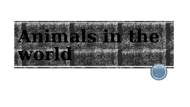 Animals in the world
