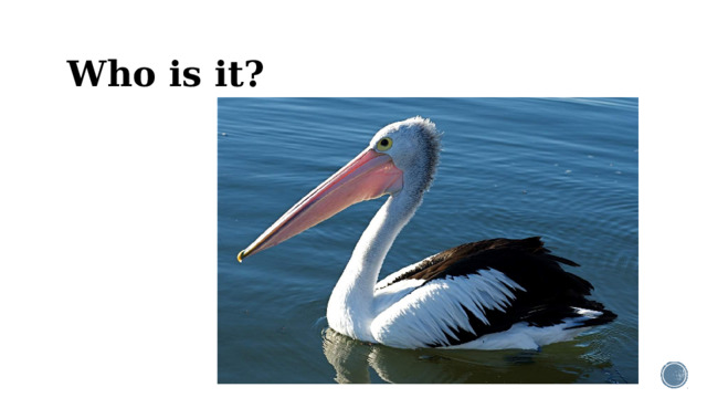 Who is it?