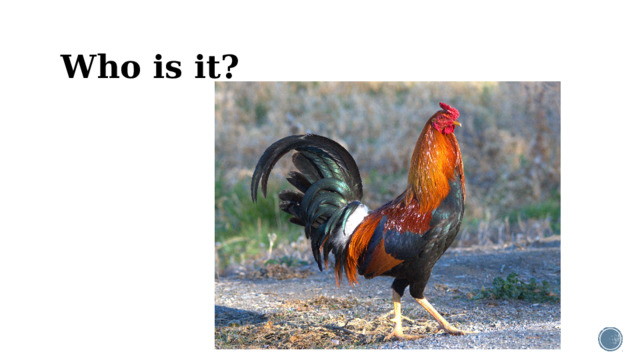 Who is it?