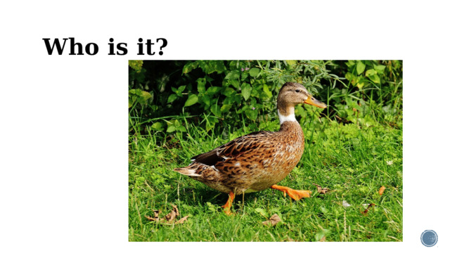 Who is it?