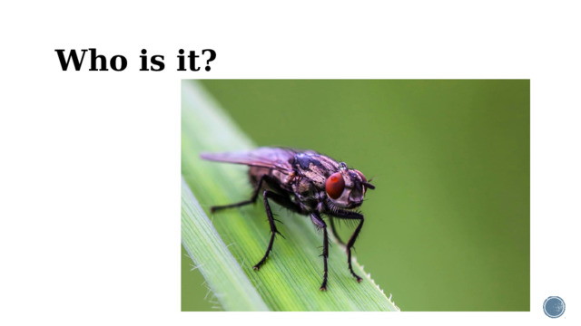 Who is it?