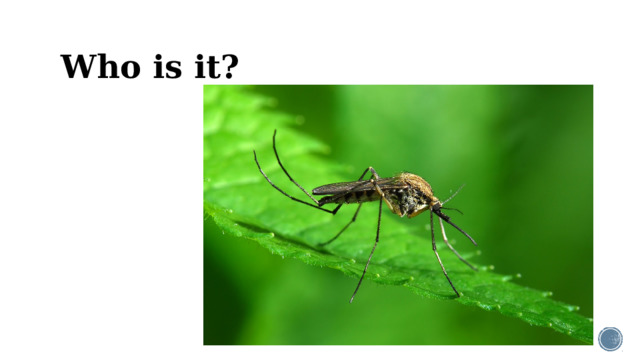 Who is it?