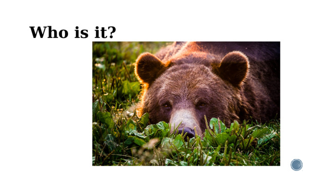 Who is it?