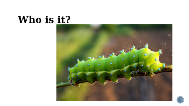 Who is it?