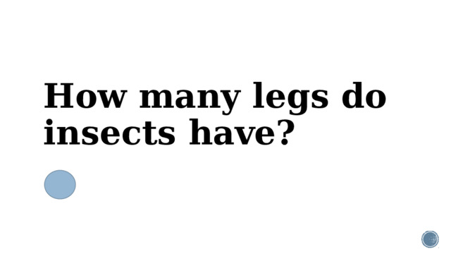 How many legs do insects have?