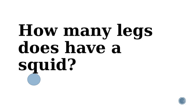 How many legs does have a squid?