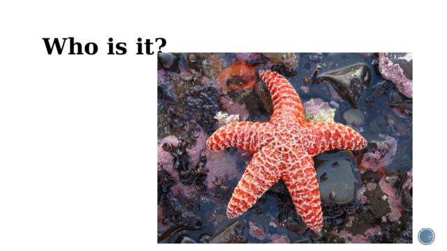 Who is it?
