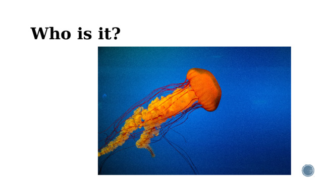 Who is it?