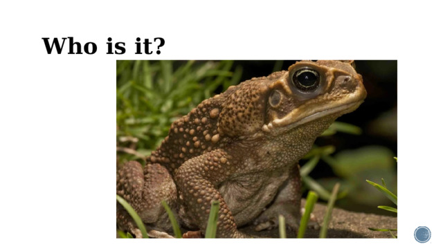 Who is it?