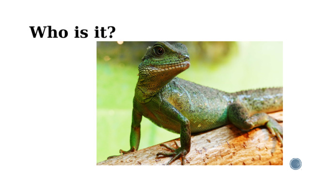 Who is it?