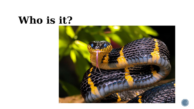 Who is it?