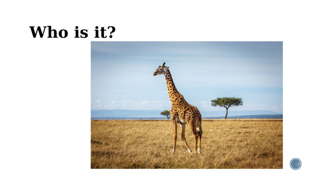 Who is it?