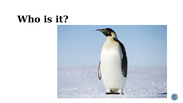 Who is it?