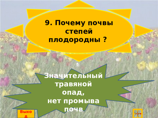 9. Почему почвы степей плодородны ? Значительный травяной опад, нет промыва почв Выход