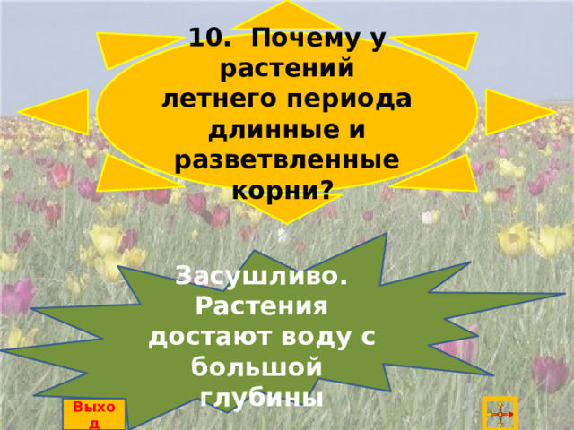 10. Почему у растений летнего периода длинные и разветвленные корни? Засушливо. Растения достают воду с большой глубины Выход