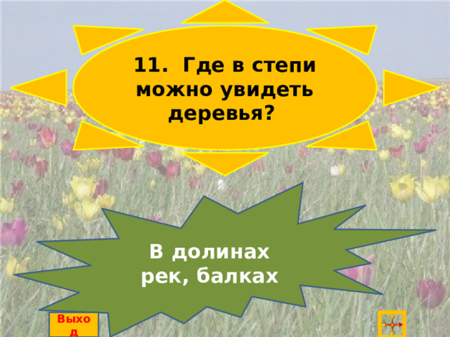 11. Где в степи можно увидеть деревья? В долинах рек, балках Выход