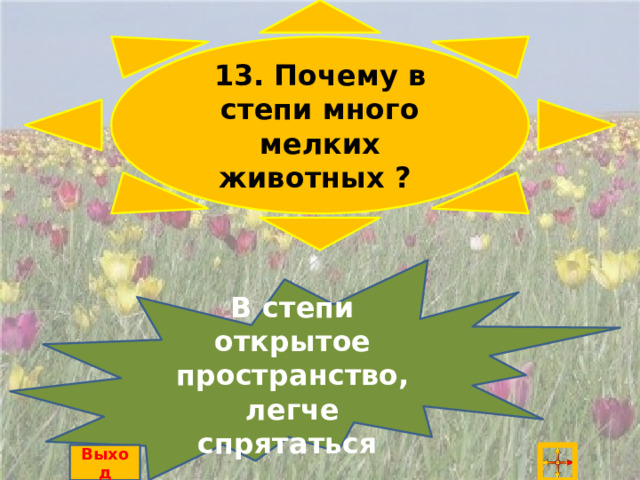 13. Почему в степи много мелких животных ? В степи открытое пространство, легче спрятаться Выход