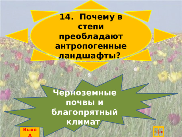 14. Почему в степи преобладают антропогенные ландшафты? Черноземные почвы и благопрятный климат Выход