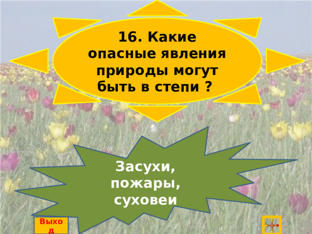 16. Какие опасные явления природы могут быть в степи ? Засухи, пожары, суховеи Выход