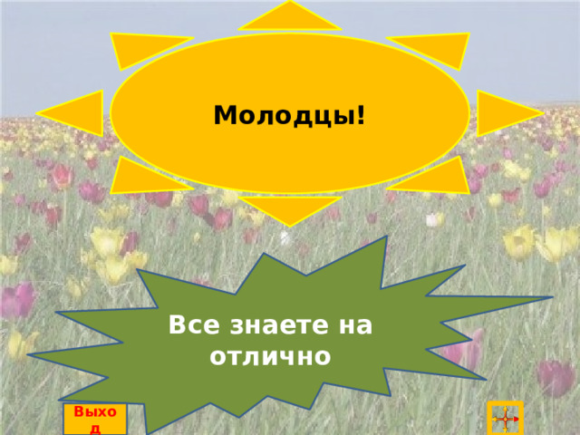 Молодцы! Все знаете на отлично Выход