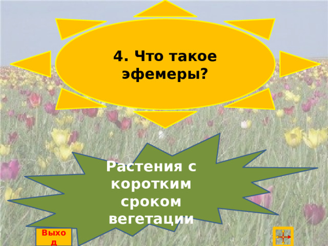 4. Что такое эфемеры? Растения с коротким сроком вегетации Выход