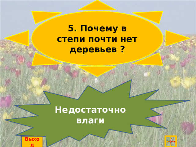 5. Почему в степи почти нет деревьев ? Недостаточно влаги Выход