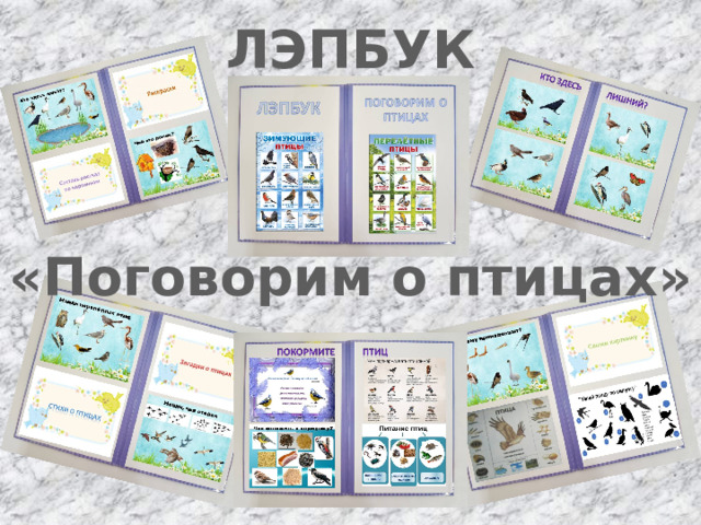 ЛЭПБУК «Поговорим о птицах»