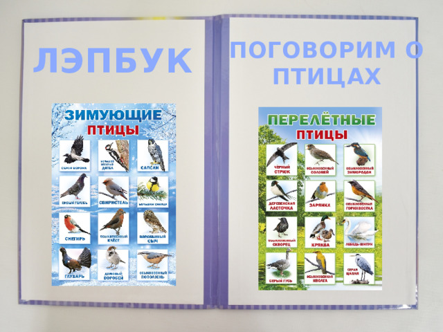 ПОГОВОРИМ О ПТИЦАХ ЛЭПБУК