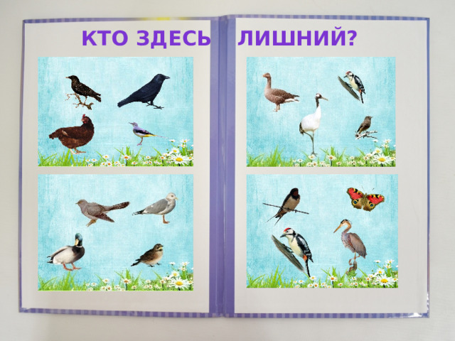 Кто Здесь Лишний?