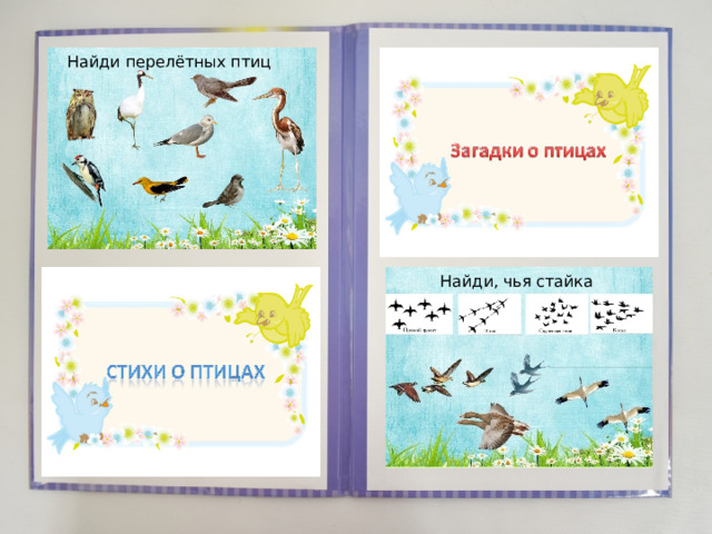 Найди перелётных птиц Найди, чья стайка