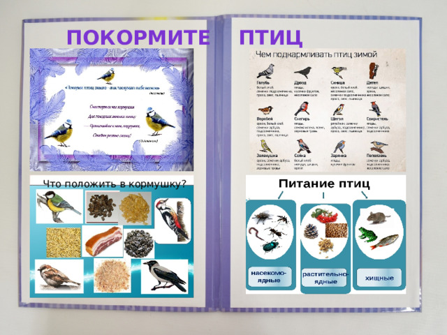 покормите птиц Что положить в кормушку?