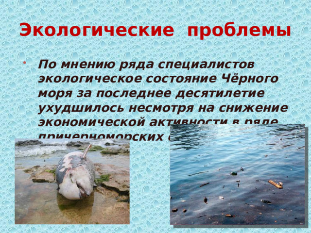 Экологические проблемы