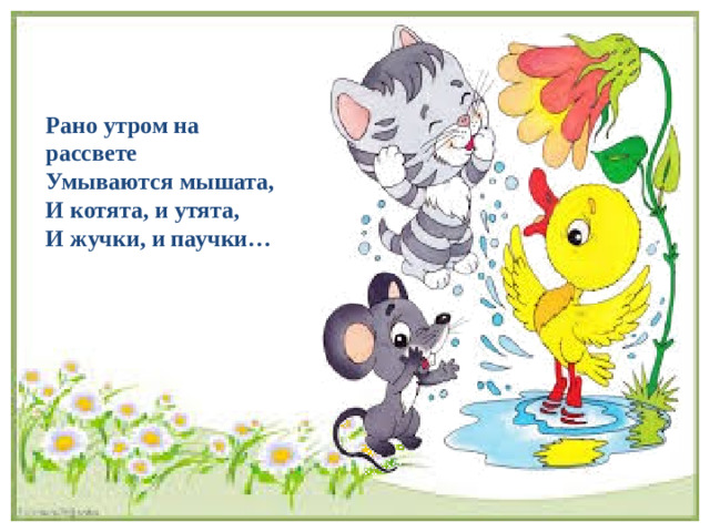 Рано утром на рассвете Умываются мышата, И котята, и утята, И жучки, и паучки…