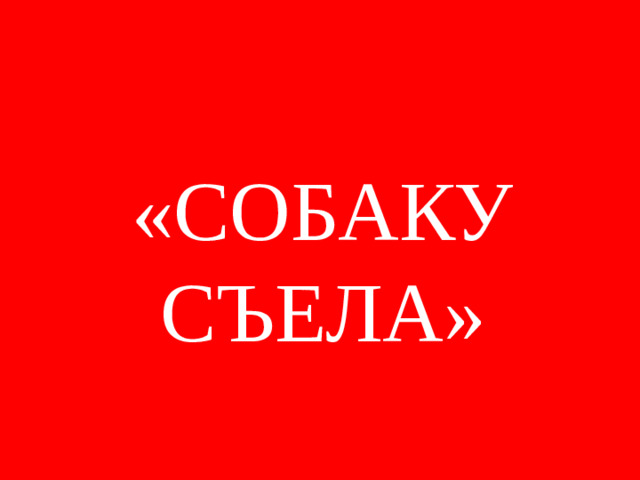 «СОБАКУ СЪЕЛА»