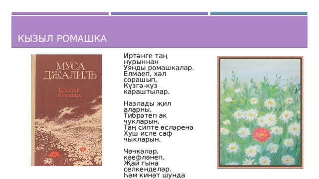Кызыл ромашка Иртәнге таң нурыннан  Уянды ромашкалар.  Елмаеп, хәл сорашып,  Күзгә-күз караштылар. Назлады җил аларны,  Тибрәтеп ак чукларын,  Таң сипте өсләренә  Хуш исле саф чыкларын. Чәчкәләр, кәефләнеп,   Җай гына селкенделәр.   Һәм кинәт шунда гаҗәп   Бер яңа хәл күрделәр. Ерак түгел моңаеп,   Утыра ромашка кызы,   Тик чуклары ак түгел,   Кан шикелле кып-кызыл.
