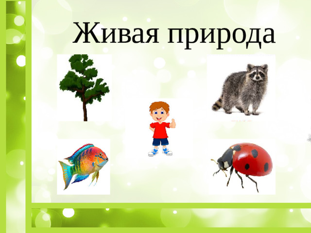 Живая природа