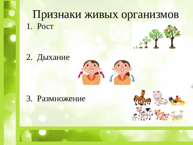 Признаки живых организмов