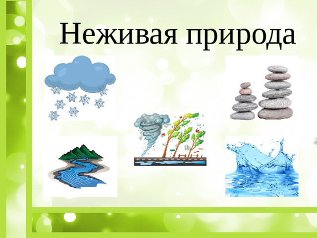 Неживая природа