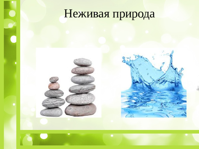 Неживая природа