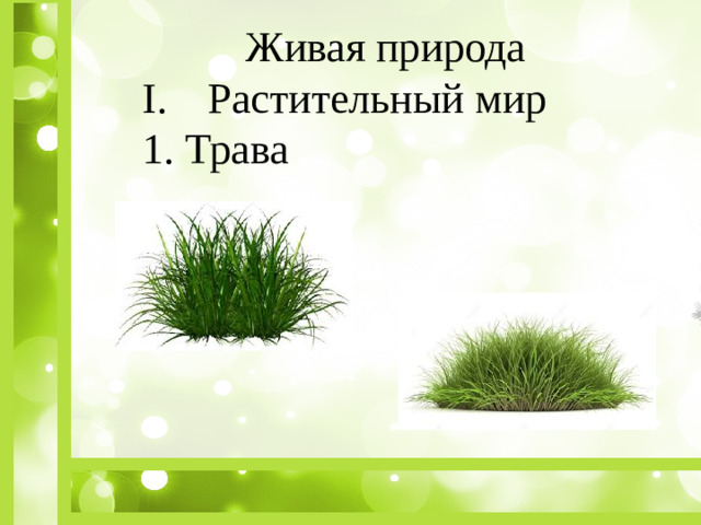 Живая природа Растительный мир 1. Трава
