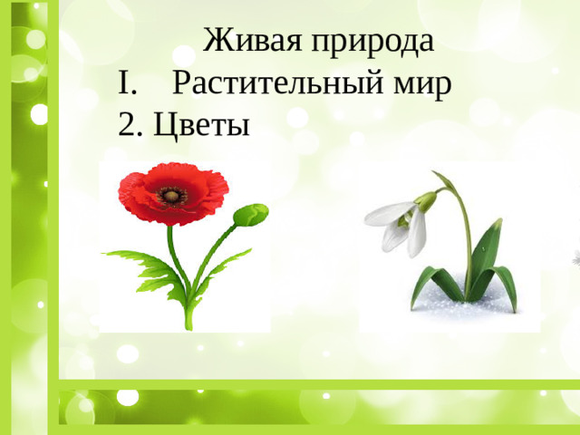 Живая природа Растительный мир 2. Цветы